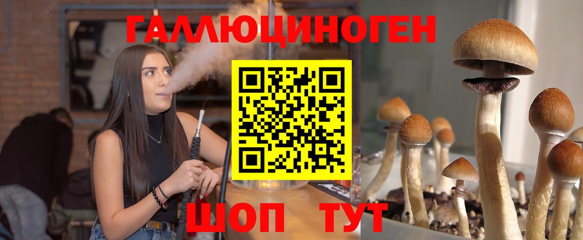 Галлюциногенные грибы мицелий  Вход с VPN  Мичуринск  Псилоцибиновые грибы мицелий 